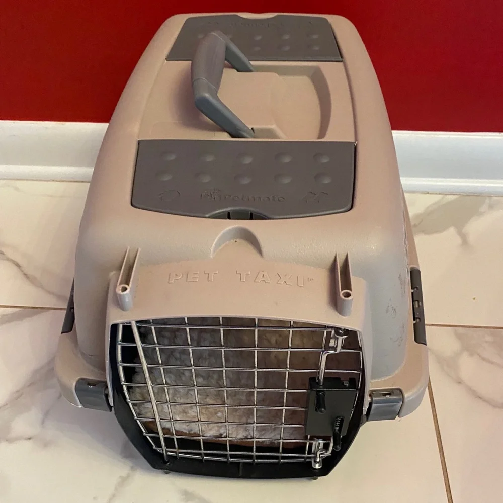 Pet Taxi Travel Kennel Carrier